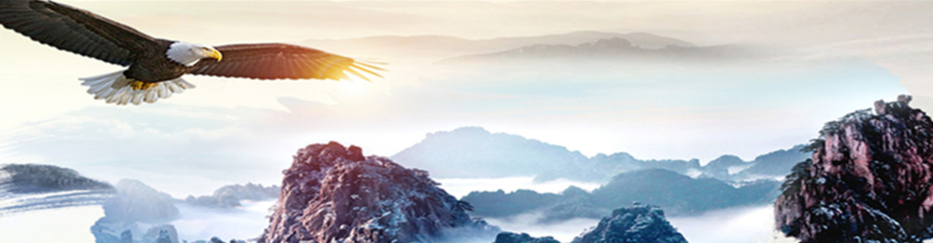 uasb厭氧三相分離器